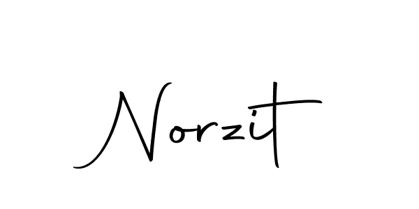 You should practise on your own different ways (Autography-DOLnW) to write your name (Norzit) in signature. don't let someone else do it for you. Norzit signature style 10 images and pictures png