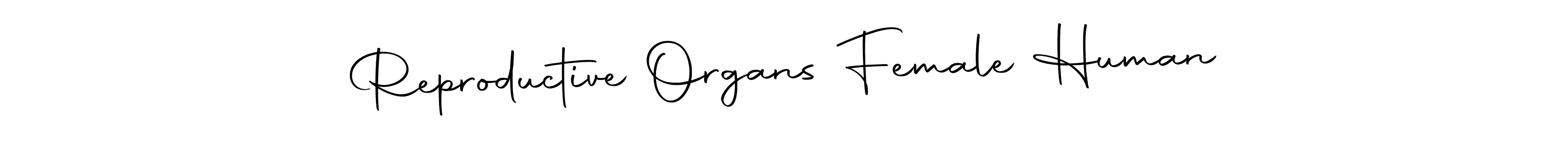 How to make Reproductive Organs Female Human name signature. Use Autography-DOLnW style for creating short signs online. This is the latest handwritten sign. Reproductive Organs Female Human signature style 10 images and pictures png