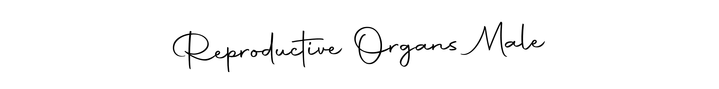 Make a beautiful signature design for name Reproductive Organs Male. With this signature (Autography-DOLnW) style, you can create a handwritten signature for free. Reproductive Organs Male signature style 10 images and pictures png