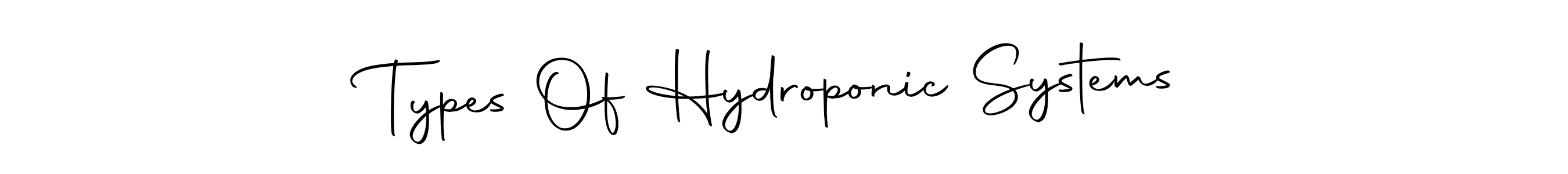 You should practise on your own different ways (Autography-DOLnW) to write your name (Types Of Hydroponic Systems) in signature. don't let someone else do it for you. Types Of Hydroponic Systems signature style 10 images and pictures png