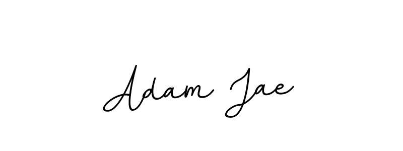 Also You can easily find your signature by using the search form. We will create Adam Jae name handwritten signature images for you free of cost using BallpointsItalic-DORy9 sign style. Adam Jae signature style 11 images and pictures png