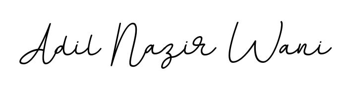This is the best signature style for the Adil Nazir Wani name. Also you like these signature font (BallpointsItalic-DORy9). Mix name signature. Adil Nazir Wani signature style 11 images and pictures png