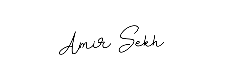 Use a signature maker to create a handwritten signature online. With this signature software, you can design (BallpointsItalic-DORy9) your own signature for name Amir Sekh. Amir Sekh signature style 11 images and pictures png