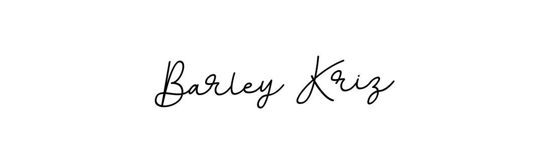 You should practise on your own different ways (BallpointsItalic-DORy9) to write your name (Barley Kriz) in signature. don't let someone else do it for you. Barley Kriz signature style 11 images and pictures png