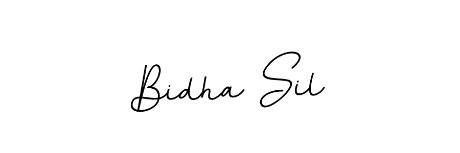 Bidha Sil stylish signature style. Best Handwritten Sign (BallpointsItalic-DORy9) for my name. Handwritten Signature Collection Ideas for my name Bidha Sil. Bidha Sil signature style 11 images and pictures png
