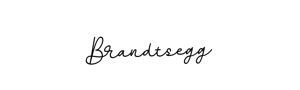 Design your own signature with our free online signature maker. With this signature software, you can create a handwritten (BallpointsItalic-DORy9) signature for name Brandtsegg. Brandtsegg signature style 11 images and pictures png