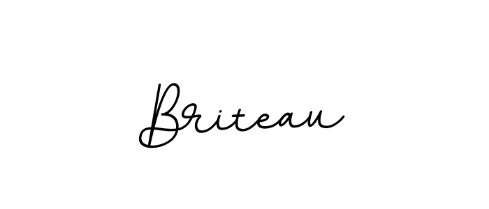 How to make Briteau signature? BallpointsItalic-DORy9 is a professional autograph style. Create handwritten signature for Briteau name. Briteau signature style 11 images and pictures png