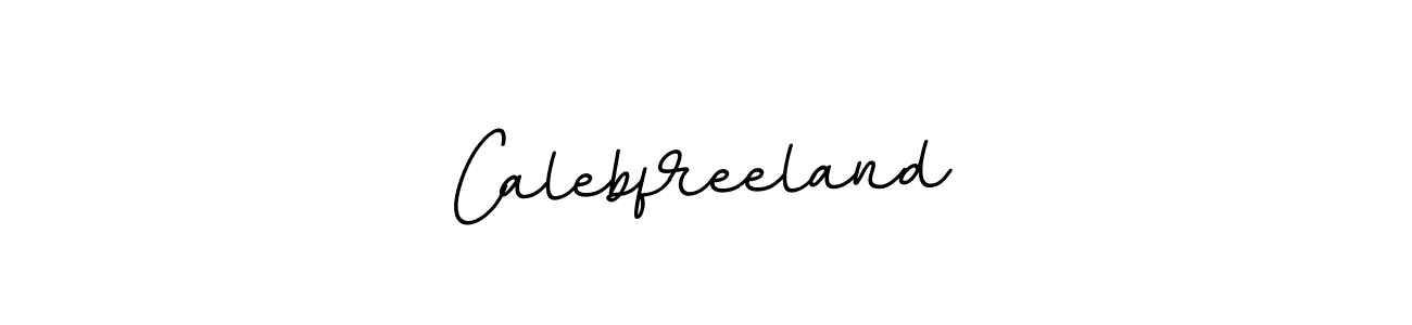 Calebfreeland stylish signature style. Best Handwritten Sign (BallpointsItalic-DORy9) for my name. Handwritten Signature Collection Ideas for my name Calebfreeland. Calebfreeland signature style 11 images and pictures png