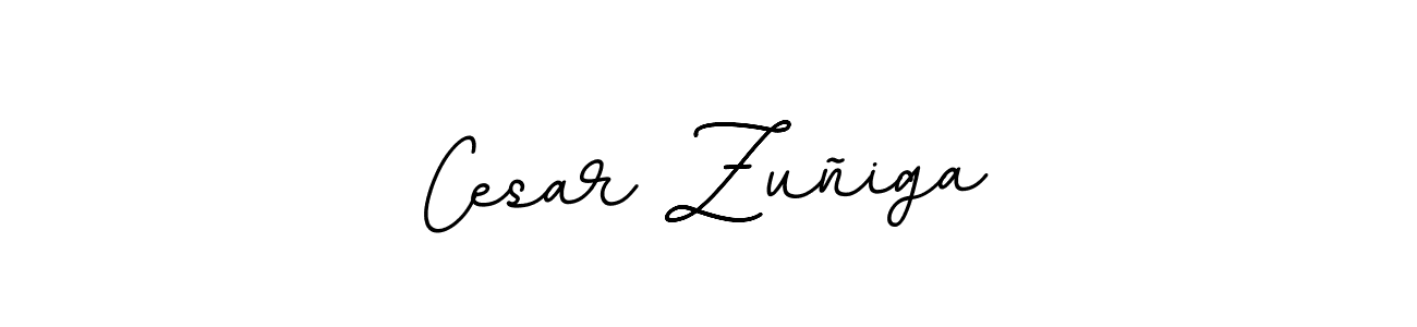 Best and Professional Signature Style for Cesar Zuñiga. BallpointsItalic-DORy9 Best Signature Style Collection. Cesar Zuñiga signature style 11 images and pictures png