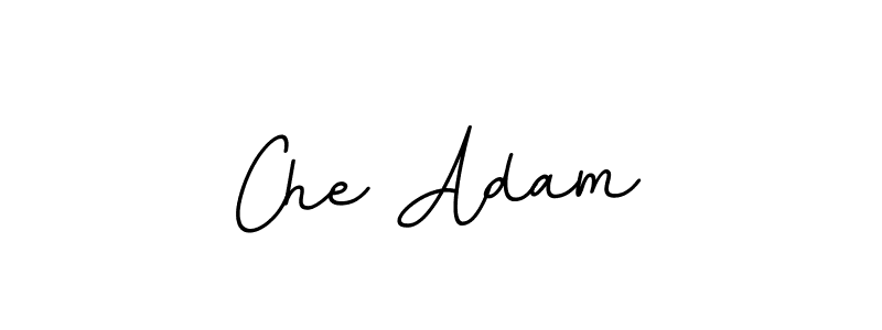 Create a beautiful signature design for name Che Adam. With this signature (BallpointsItalic-DORy9) fonts, you can make a handwritten signature for free. Che Adam signature style 11 images and pictures png