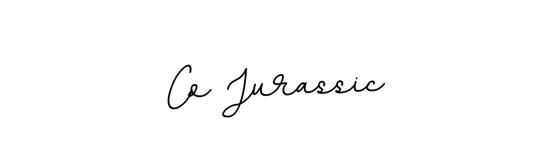 Co Jurassic stylish signature style. Best Handwritten Sign (BallpointsItalic-DORy9) for my name. Handwritten Signature Collection Ideas for my name Co Jurassic. Co Jurassic signature style 11 images and pictures png