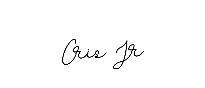Cris Jr stylish signature style. Best Handwritten Sign (BallpointsItalic-DORy9) for my name. Handwritten Signature Collection Ideas for my name Cris Jr. Cris Jr signature style 11 images and pictures png
