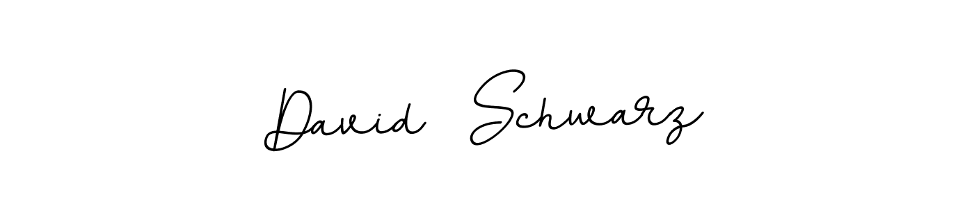 Create a beautiful signature design for name David  Schwarz. With this signature (BallpointsItalic-DORy9) fonts, you can make a handwritten signature for free. David  Schwarz signature style 11 images and pictures png