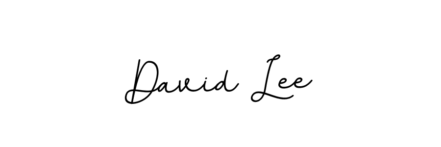 Create a beautiful signature design for name David Lee. With this signature (BallpointsItalic-DORy9) fonts, you can make a handwritten signature for free. David Lee signature style 11 images and pictures png
