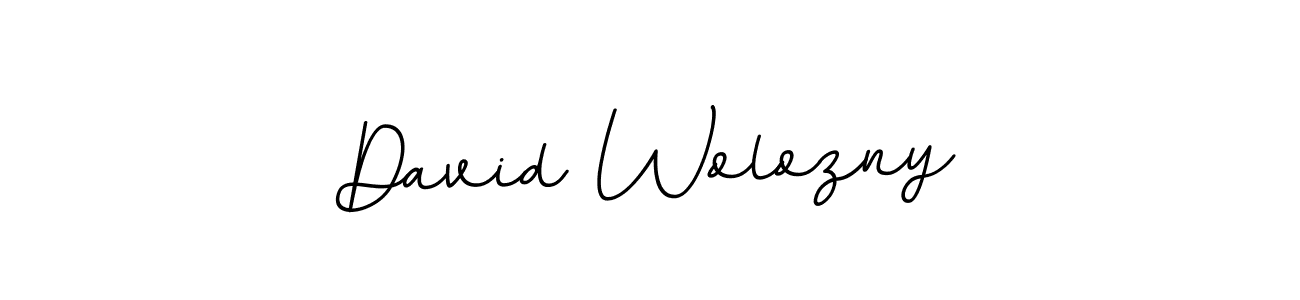 How to make David Wolozny signature? BallpointsItalic-DORy9 is a professional autograph style. Create handwritten signature for David Wolozny name. David Wolozny signature style 11 images and pictures png