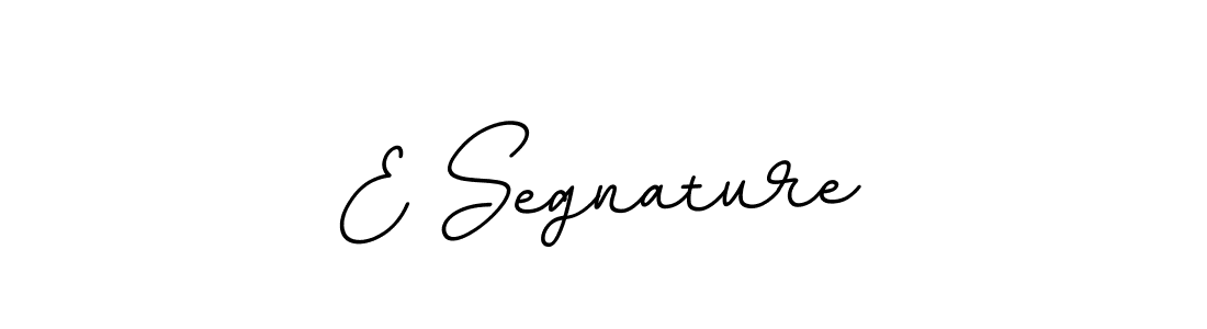 Create a beautiful signature design for name E Segnature. With this signature (BallpointsItalic-DORy9) fonts, you can make a handwritten signature for free. E Segnature signature style 11 images and pictures png