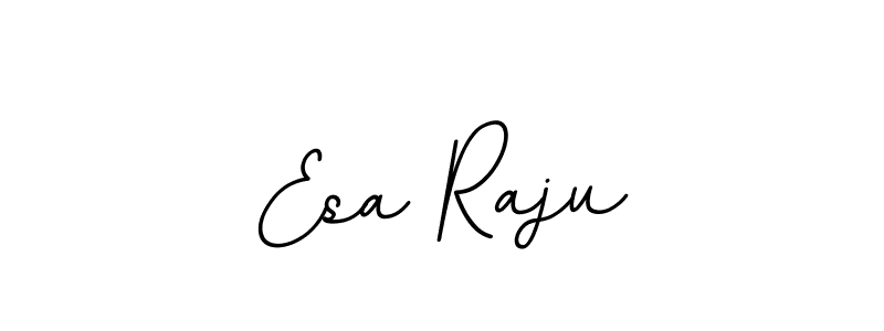 Use a signature maker to create a handwritten signature online. With this signature software, you can design (BallpointsItalic-DORy9) your own signature for name Esa Raju. Esa Raju signature style 11 images and pictures png