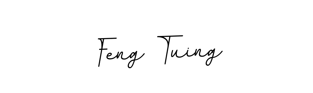 Use a signature maker to create a handwritten signature online. With this signature software, you can design (BallpointsItalic-DORy9) your own signature for name Feng Tuing. Feng Tuing signature style 11 images and pictures png