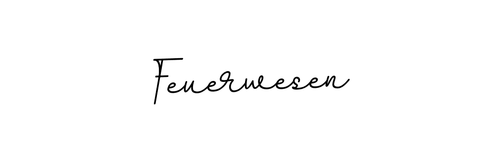 How to make Feuerwesen signature? BallpointsItalic-DORy9 is a professional autograph style. Create handwritten signature for Feuerwesen name. Feuerwesen signature style 11 images and pictures png