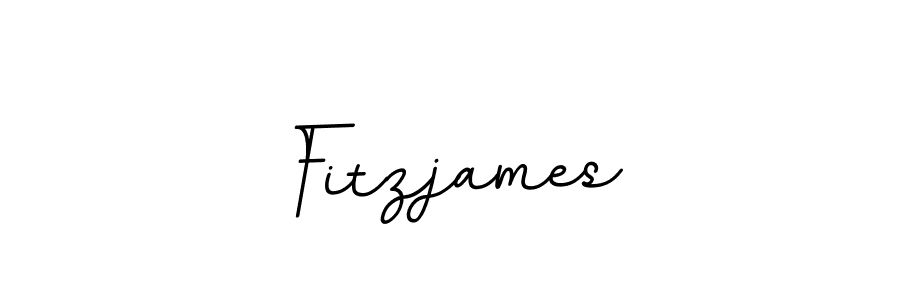 Create a beautiful signature design for name Fitzjames. With this signature (BallpointsItalic-DORy9) fonts, you can make a handwritten signature for free. Fitzjames signature style 11 images and pictures png