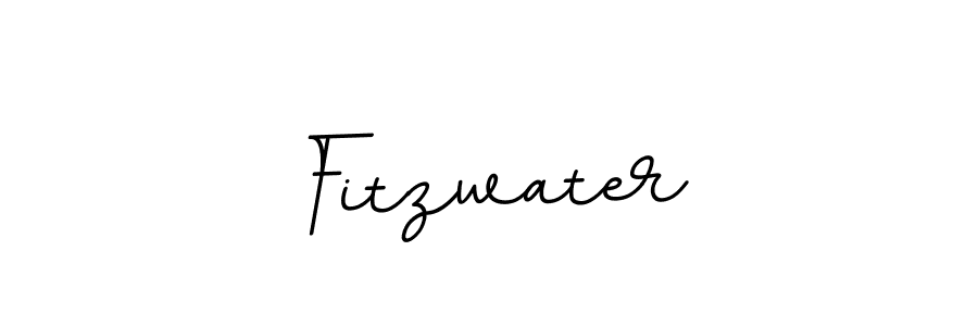 How to Draw Fitzwater signature style? BallpointsItalic-DORy9 is a latest design signature styles for name Fitzwater. Fitzwater signature style 11 images and pictures png