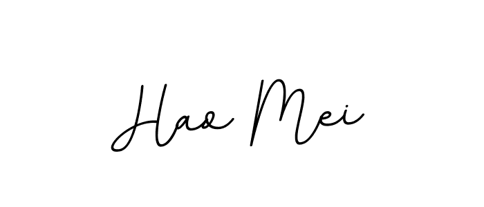 Create a beautiful signature design for name Hao Mei. With this signature (BallpointsItalic-DORy9) fonts, you can make a handwritten signature for free. Hao Mei signature style 11 images and pictures png