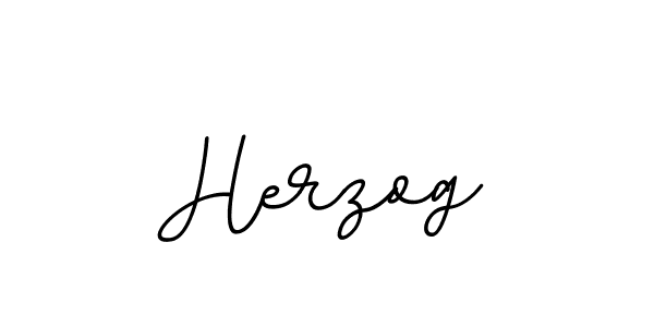 Create a beautiful signature design for name Herzog. With this signature (BallpointsItalic-DORy9) fonts, you can make a handwritten signature for free. Herzog signature style 11 images and pictures png