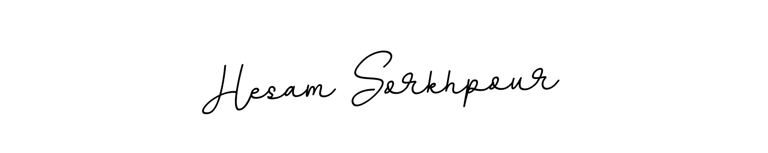 How to make Hesam Sorkhpour signature? BallpointsItalic-DORy9 is a professional autograph style. Create handwritten signature for Hesam Sorkhpour name. Hesam Sorkhpour signature style 11 images and pictures png