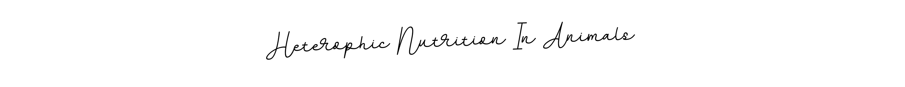It looks lik you need a new signature style for name Heterophic Nutrition In Animals. Design unique handwritten (BallpointsItalic-DORy9) signature with our free signature maker in just a few clicks. Heterophic Nutrition In Animals signature style 11 images and pictures png