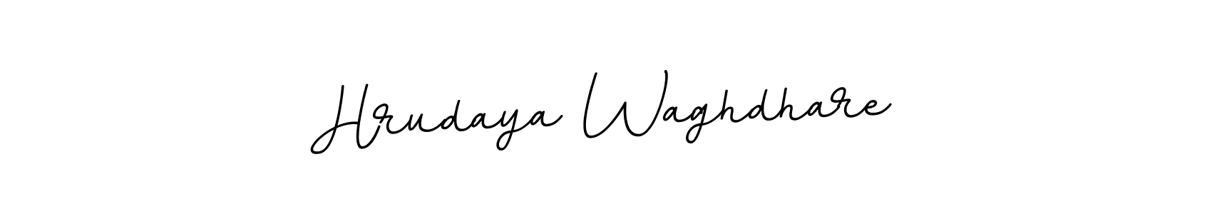 How to make Hrudaya Waghdhare signature? BallpointsItalic-DORy9 is a professional autograph style. Create handwritten signature for Hrudaya Waghdhare name. Hrudaya Waghdhare signature style 11 images and pictures png