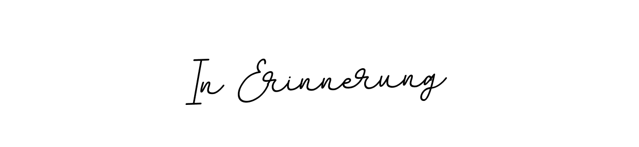 Also we have In Erinnerung name is the best signature style. Create professional handwritten signature collection using BallpointsItalic-DORy9 autograph style. In Erinnerung signature style 11 images and pictures png