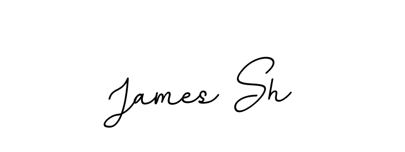 Make a beautiful signature design for name James Sh. With this signature (BallpointsItalic-DORy9) style, you can create a handwritten signature for free. James Sh signature style 11 images and pictures png