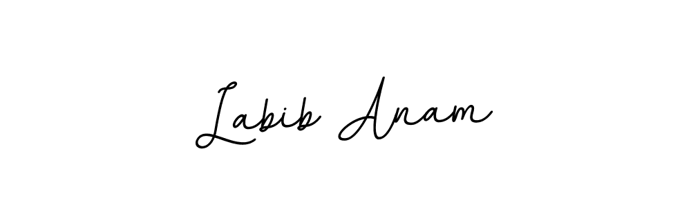 How to make Labib Anam signature? BallpointsItalic-DORy9 is a professional autograph style. Create handwritten signature for Labib Anam name. Labib Anam signature style 11 images and pictures png