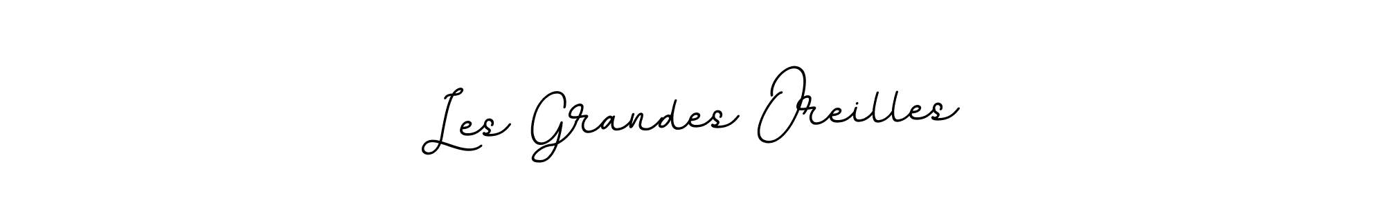 How to make Les Grandes Oreilles signature? BallpointsItalic-DORy9 is a professional autograph style. Create handwritten signature for Les Grandes Oreilles name. Les Grandes Oreilles signature style 11 images and pictures png