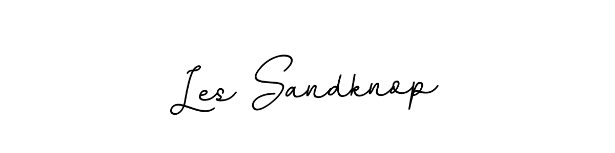 How to Draw Les Sandknop signature style? BallpointsItalic-DORy9 is a latest design signature styles for name Les Sandknop. Les Sandknop signature style 11 images and pictures png