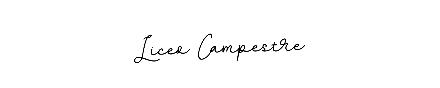 Design your own signature with our free online signature maker. With this signature software, you can create a handwritten (BallpointsItalic-DORy9) signature for name Liceo Campestre. Liceo Campestre signature style 11 images and pictures png