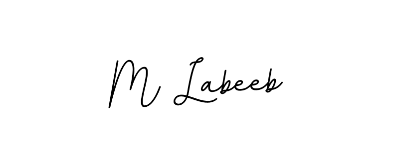 Create a beautiful signature design for name M Labeeb. With this signature (BallpointsItalic-DORy9) fonts, you can make a handwritten signature for free. M Labeeb signature style 11 images and pictures png