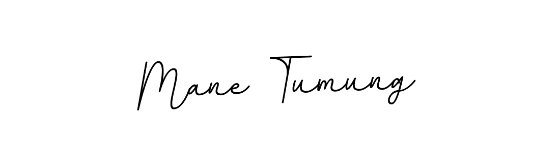 Mane Tumung stylish signature style. Best Handwritten Sign (BallpointsItalic-DORy9) for my name. Handwritten Signature Collection Ideas for my name Mane Tumung. Mane Tumung signature style 11 images and pictures png