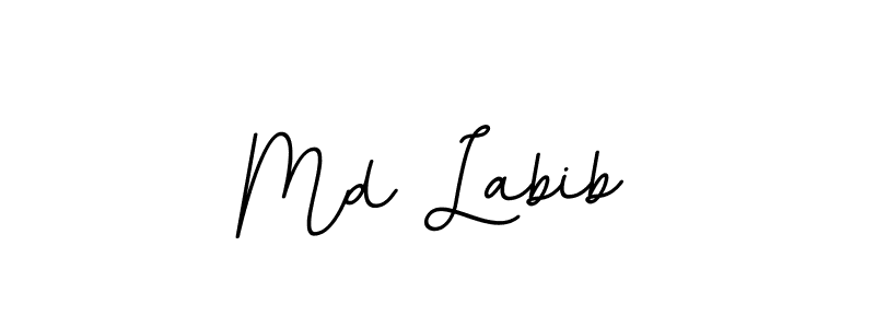 Create a beautiful signature design for name Md Labib. With this signature (BallpointsItalic-DORy9) fonts, you can make a handwritten signature for free. Md Labib signature style 11 images and pictures png