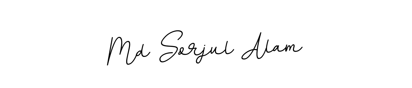 Md Sorjul Alam stylish signature style. Best Handwritten Sign (BallpointsItalic-DORy9) for my name. Handwritten Signature Collection Ideas for my name Md Sorjul Alam. Md Sorjul Alam signature style 11 images and pictures png