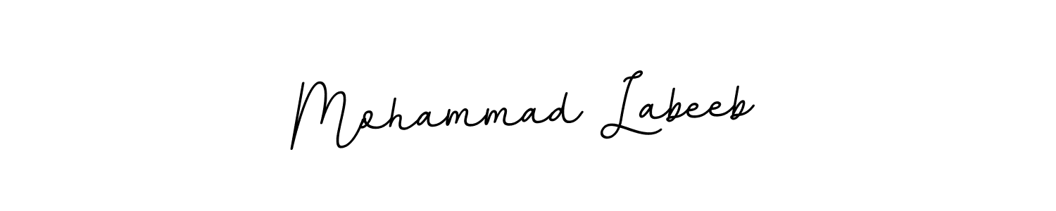 Make a beautiful signature design for name Mohammad Labeeb. With this signature (BallpointsItalic-DORy9) style, you can create a handwritten signature for free. Mohammad Labeeb signature style 11 images and pictures png