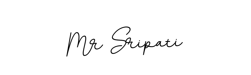 Create a beautiful signature design for name Mr Sripati. With this signature (BallpointsItalic-DORy9) fonts, you can make a handwritten signature for free. Mr Sripati signature style 11 images and pictures png