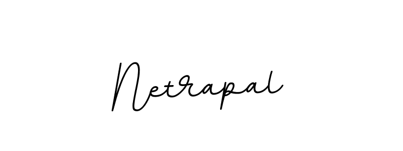 How to make Netrapal signature? BallpointsItalic-DORy9 is a professional autograph style. Create handwritten signature for Netrapal name. Netrapal signature style 11 images and pictures png