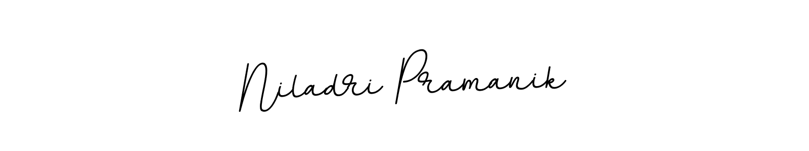 Make a beautiful signature design for name Niladri Pramanik. With this signature (BallpointsItalic-DORy9) style, you can create a handwritten signature for free. Niladri Pramanik signature style 11 images and pictures png