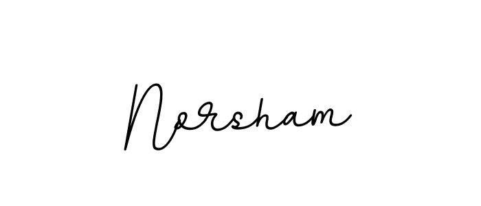 This is the best signature style for the Norsham name. Also you like these signature font (BallpointsItalic-DORy9). Mix name signature. Norsham signature style 11 images and pictures png