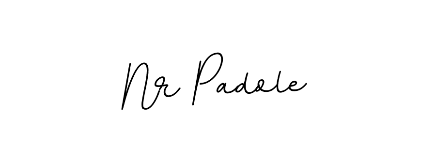 Nr Padole stylish signature style. Best Handwritten Sign (BallpointsItalic-DORy9) for my name. Handwritten Signature Collection Ideas for my name Nr Padole. Nr Padole signature style 11 images and pictures png