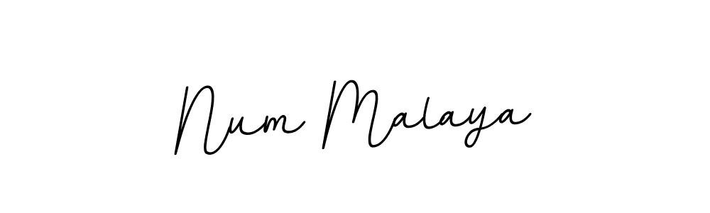 How to make Num Malaya signature? BallpointsItalic-DORy9 is a professional autograph style. Create handwritten signature for Num Malaya name. Num Malaya signature style 11 images and pictures png