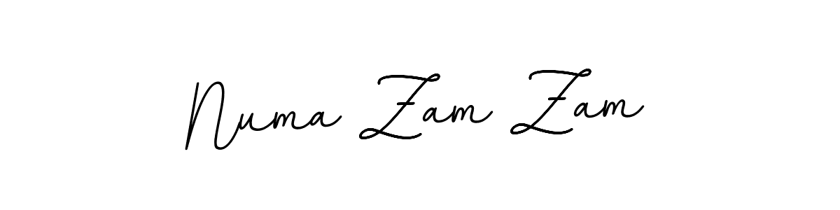You should practise on your own different ways (BallpointsItalic-DORy9) to write your name (Numa Zam Zam) in signature. don't let someone else do it for you. Numa Zam Zam signature style 11 images and pictures png