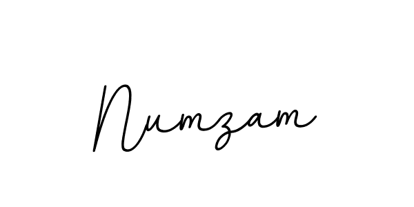 Create a beautiful signature design for name Numzam. With this signature (BallpointsItalic-DORy9) fonts, you can make a handwritten signature for free. Numzam signature style 11 images and pictures png