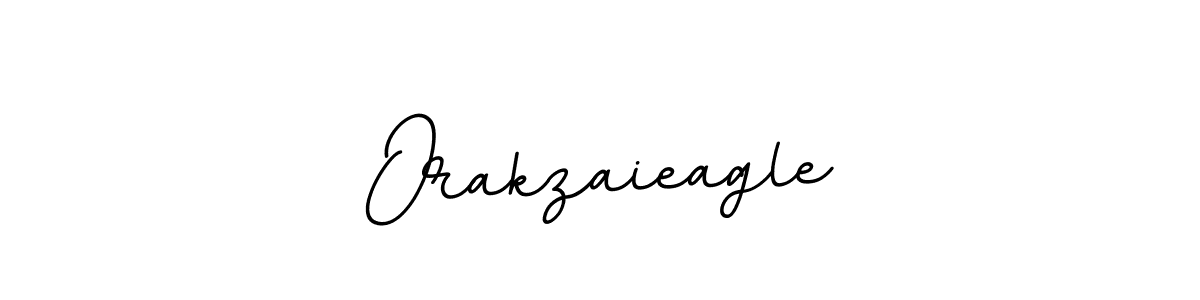 How to Draw Orakzaieagle signature style? BallpointsItalic-DORy9 is a latest design signature styles for name Orakzaieagle. Orakzaieagle signature style 11 images and pictures png